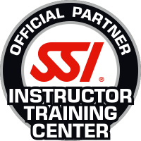 ssi instructor