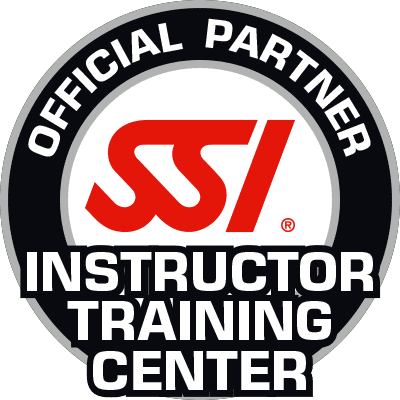 ssi instructor
