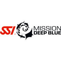 ssi mission deep blue